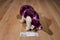 Aurora Purple and Beige Triceratops Plush