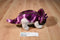 Aurora Purple and Beige Triceratops Plush
