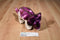 Aurora Purple and Beige Triceratops Plush