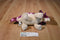 Aurora Purple and Beige Triceratops Plush