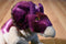Aurora Purple and Beige Triceratops Plush