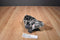 Aurora Barney the Great Horned Owl Plush