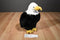 Aurora Bald Eagle Plush