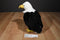 Aurora Bald Eagle Plush