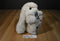 Animal Adventure Beige Bunny Rabbit 2000 Plush with Carrot Feet