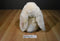 Animal Adventure Beige Bunny Rabbit 2000 Plush with Carrot Feet