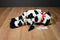 Build-A-Bear Vintage Holstein Cow with Bell 1997 Beanbag Plush