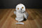 Wild Republic Snowy Owl 2016 Beanbag Plush