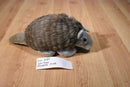 Soft Things Brown and Gray Armadillo Plush