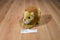 ING Bank Lion Plush
