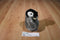 Aurora Miyoni Emperor Penguin Chick Beanbag Plush