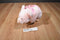 A&A Fancy Zoo Pink Pig Plush Bag Purse