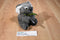 Australian Design Koala Plush with a Plastic Boomerang