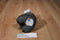 Australian Design Koala Plush with a Plastic Boomerang