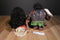 Disney Store Moana Doll and Maui Demi God Doll Plush