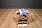 JAKKS Pacific Nintendo Pokemon Drilbur 2011 Plush