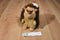 New England Toy Girls Scouts of America ABC Bakers Hedgehog 2016 Plush