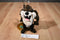 Warner Bros. Studio Store Taz 1997 Beanbag Plush
