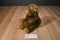 Ty Classic Topanga Brown Monkey Chimp Ape 2004 Beanbag Plush