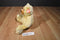 Ty Classic Tapioca Cream Colored Bear 2006 Beanbag Plush