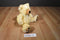 Ty Classic Tapioca Cream Colored Bear 2006 Beanbag Plush