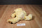 Ty Classic Tapioca Cream Colored Bear 2006 Beanbag Plush