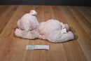 Chrisha Playful Plush Pink Pig 2007 Beanbag Plush