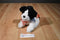 Ty Classic Brinksie White and Black Spaniel Dog 2005 Beanbag Plush