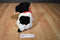 Ty Classic Brinksie White and Black Spaniel Dog 2005 Beanbag Plush