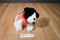Ty Classic Brinksie White and Black Spaniel Dog 2005 Beanbag Plush