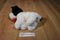 Ty Classic Brinksie White and Black Spaniel Dog 2005 Beanbag Plush