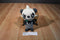Tomy Pokemon Pancham 2014 Plush