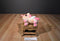 Tokidoki Unicorno Dolce Donut Unicorn Pegasus 2016 Plush
