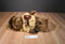 Dakin Frontiersman Brown Jointed Teddy Bear Limited Edition Plush