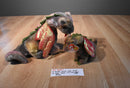 Ty Buddies and Babies Scorch the Dragon Beanbag Plush