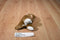 Sunwood Souvenirs Australia Kangaroo and Joey Plush