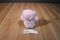 Baby Gund My First Teddy Pink Bear Plush