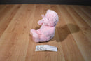Baby Gund My First Teddy Pink Bear Plush