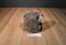 Kohl's St. Nicholas Square Decorative Hedgehog Weighted Plush