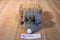 Natty From Naturalizer 1988 Brown and White Bunny Rabbit Plush
