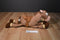 Disney Store Pixar Toy Story Woody and Bullseye Plush