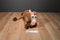 Disney Store Pixar Toy Story Woody and Bullseye Plush
