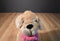 Kellytoy Yellow Lab Golden Retriever Puppy With Pink Bone 2017 Plush
