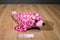 The Petting Zoo Pink and Purple Spotted Seal 2014 Beanbag Plush