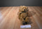 Russ Wembly Brown Bear Beanbag Plush with Brown Plaid Bow