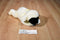 Ty Beanie Buddy Chops Black Faced White Lamb 2000 Beanbag Plush