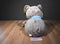 Animal Adventure Brown Bear With Blue Scarf 2017 Plush