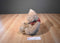 Russ Glory Beige Bear Beanbag Plush With Red/Blue Bandana with Stars