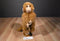 MJC Purr-fection Pete the Brown Monkey 1992 Plush