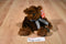 Ganz Murdoch Brown Bear Beanbag Plush